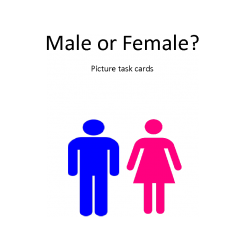 Male versus Female